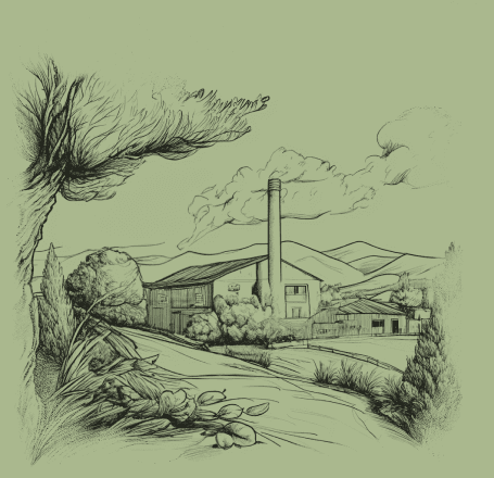 Registo da marca Gallo, 1919